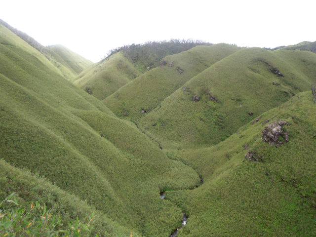 FWW#3 DZUKOU VALLEY, NAGALAND